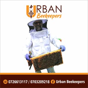 Honey Harvesting Kit for Sale in Kenya